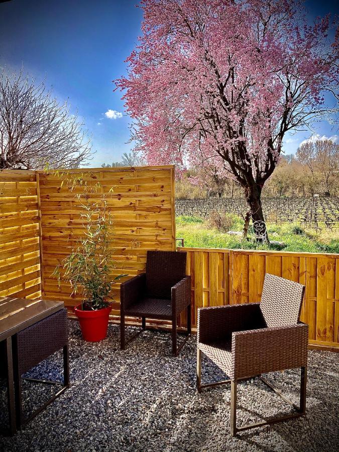 Lodging Au Milieu Des Vignes & Des Etoiles Saint-Jean-de-Fos Buitenkant foto